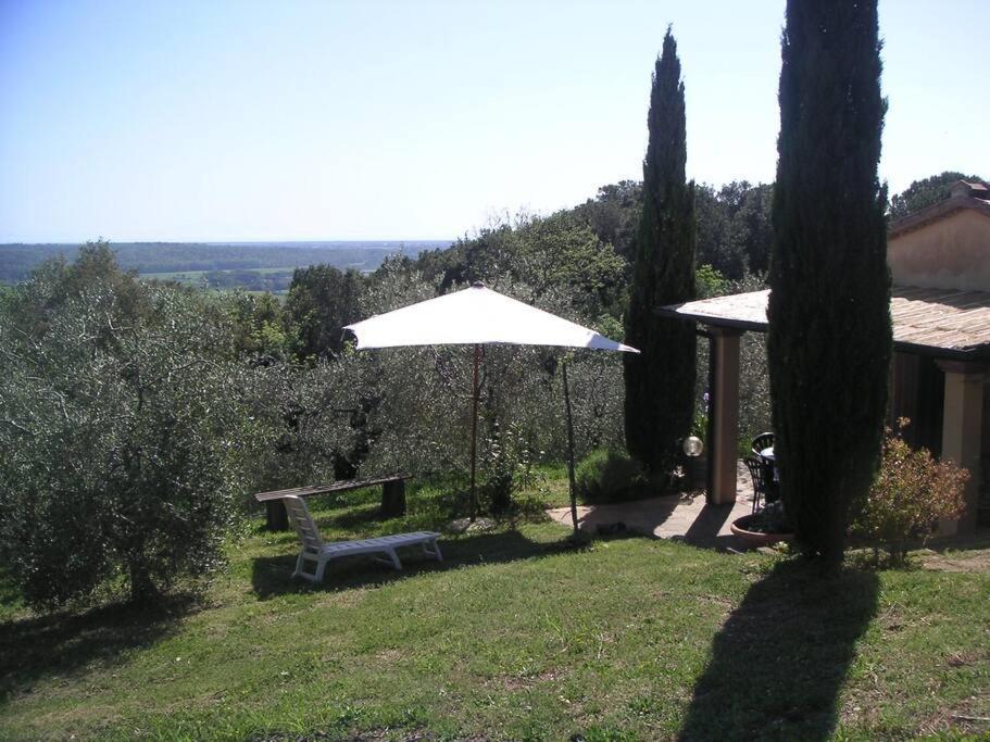 ריפרבלה Casa Belvedere -Tranquillita Tra Bosco E Ulivi- מראה חיצוני תמונה