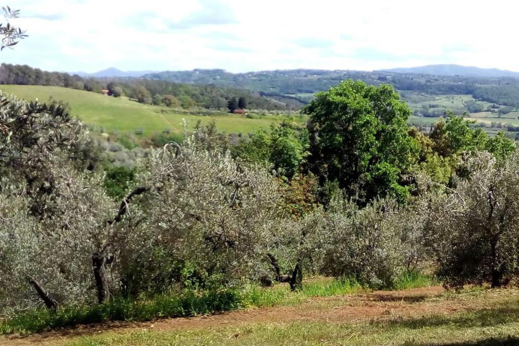 ריפרבלה Casa Belvedere -Tranquillita Tra Bosco E Ulivi- מראה חיצוני תמונה