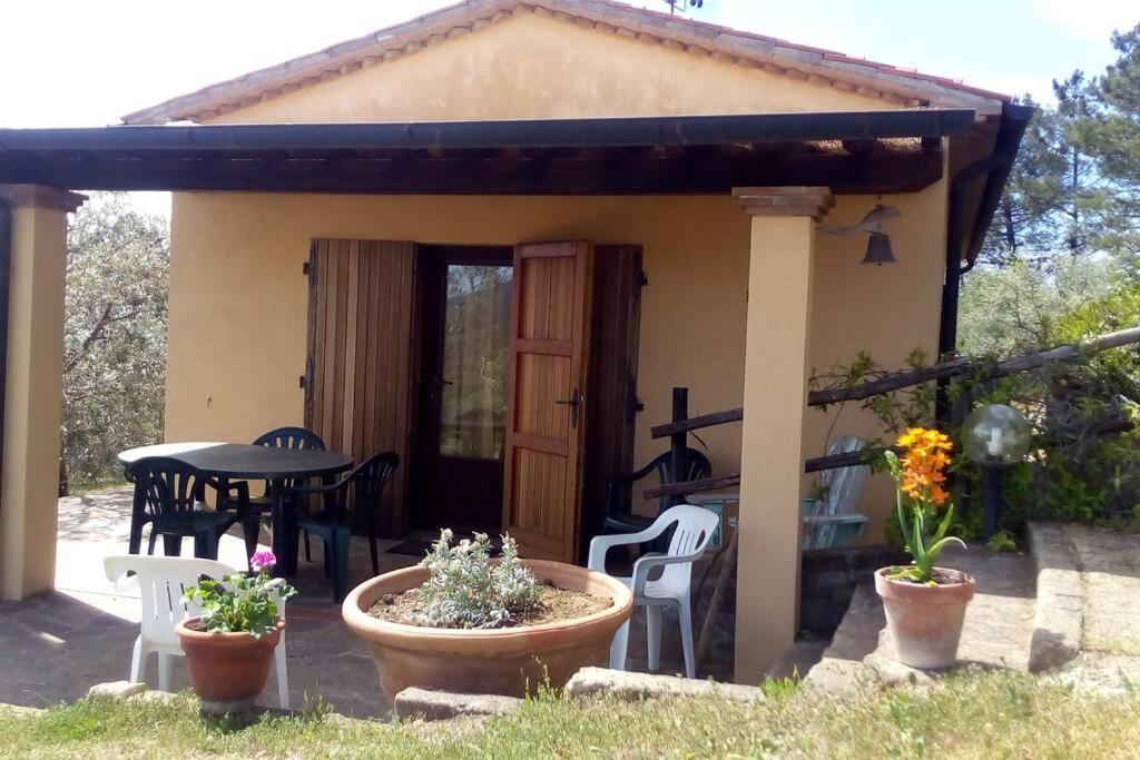 ריפרבלה Casa Belvedere -Tranquillita Tra Bosco E Ulivi- מראה חיצוני תמונה