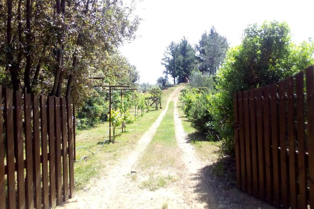 ריפרבלה Casa Belvedere -Tranquillita Tra Bosco E Ulivi- מראה חיצוני תמונה