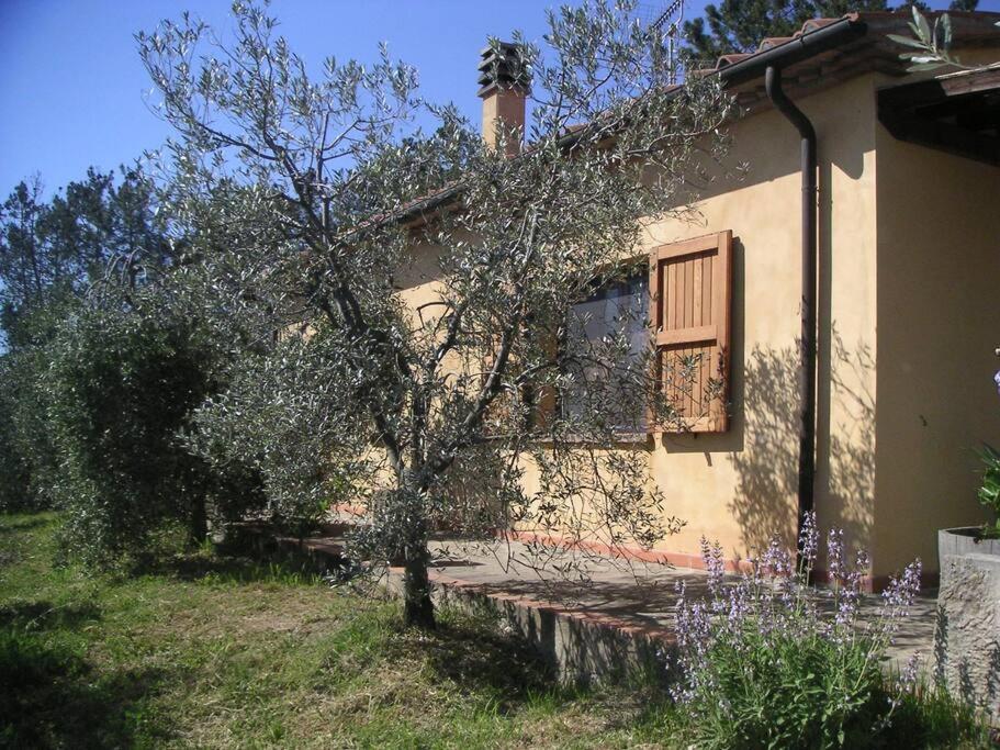 ריפרבלה Casa Belvedere -Tranquillita Tra Bosco E Ulivi- מראה חיצוני תמונה