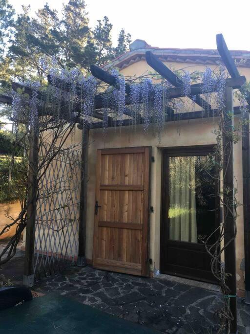ריפרבלה Casa Belvedere -Tranquillita Tra Bosco E Ulivi- מראה חיצוני תמונה