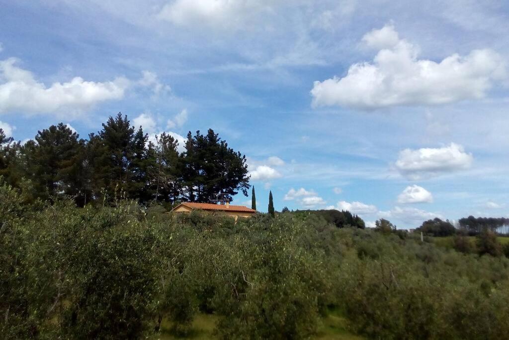 ריפרבלה Casa Belvedere -Tranquillita Tra Bosco E Ulivi- מראה חיצוני תמונה